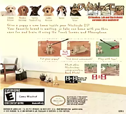 Image n° 2 - boxback : Nintendogs - Best Friends